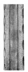40х6 - 3 ( декоративная полоса ) (3,1 м)
